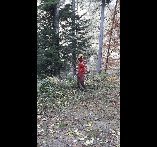 20211106_120254_Quer