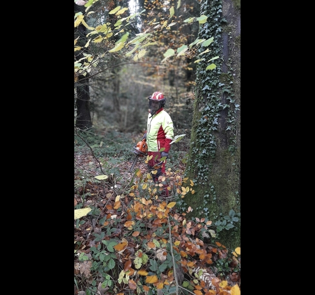 20211106_120349_quer