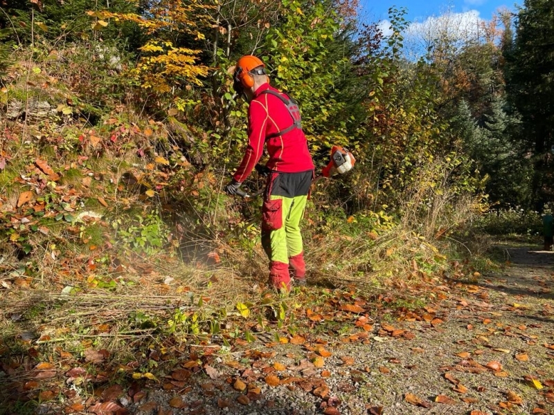 PHOTO-2021-11-07-18-09-23