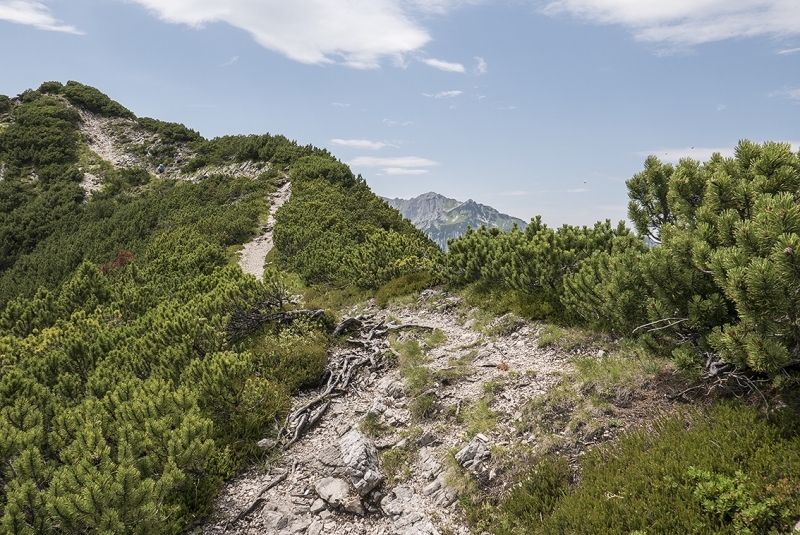 wilder_kaiser_2017_004