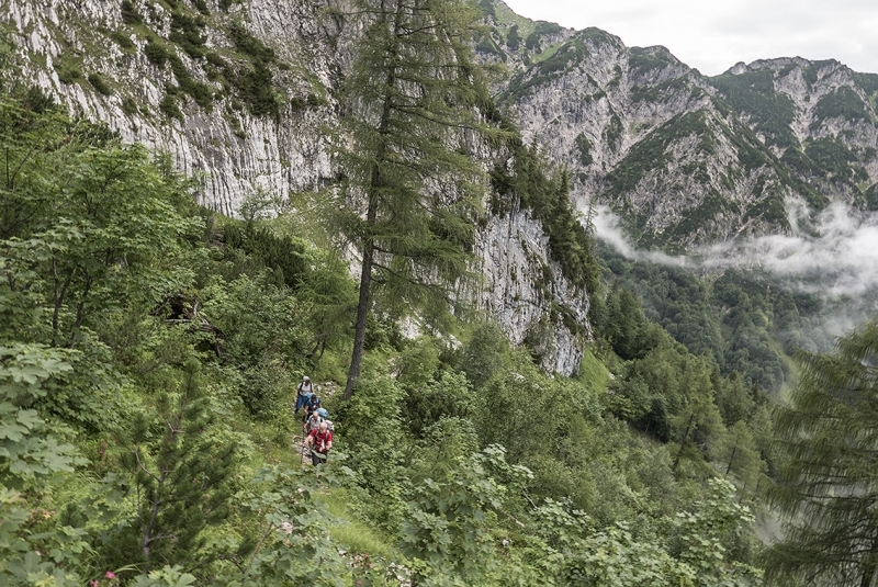 wilder_kaiser_2017_017